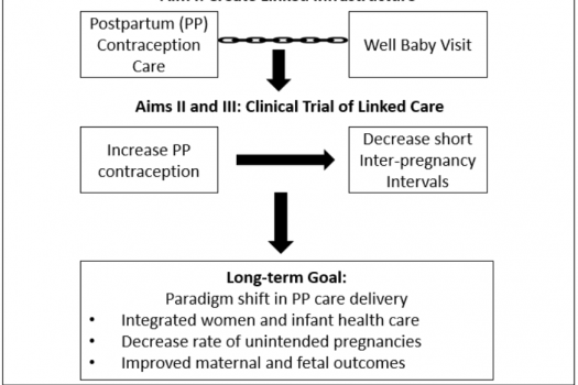 flowchart from Optimizing Postpartum Care through Novel Approaches for Contraceptive Provision project